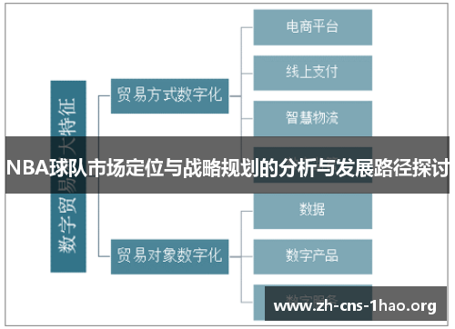 NBA球队市场定位与战略规划的分析与发展路径探讨