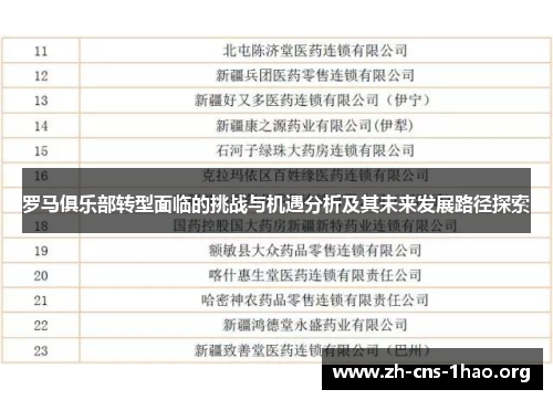 罗马俱乐部转型面临的挑战与机遇分析及其未来发展路径探索