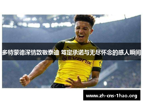 多特蒙德深情致敬泰迪 笃定承诺与无尽怀念的感人瞬间