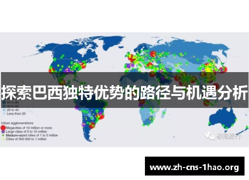 探索巴西独特优势的路径与机遇分析