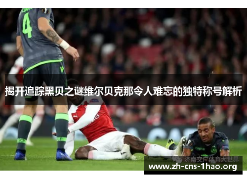 揭开追踪黑贝之谜维尔贝克那令人难忘的独特称号解析