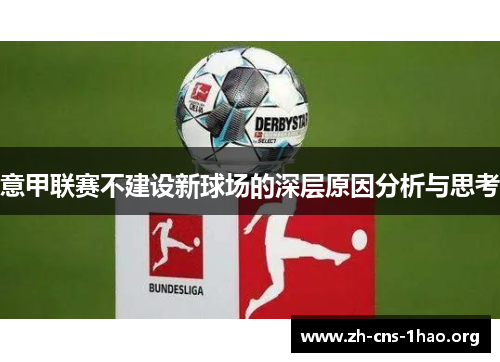 意甲联赛不建设新球场的深层原因分析与思考