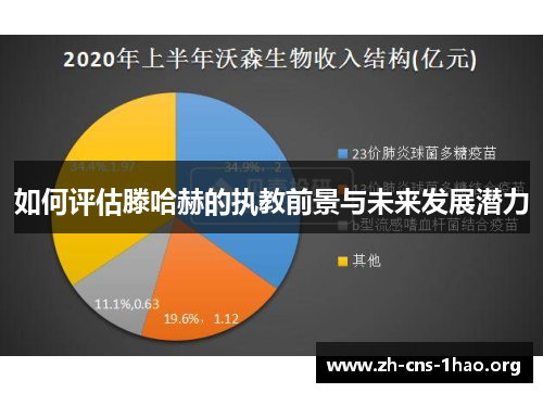 如何评估滕哈赫的执教前景与未来发展潜力