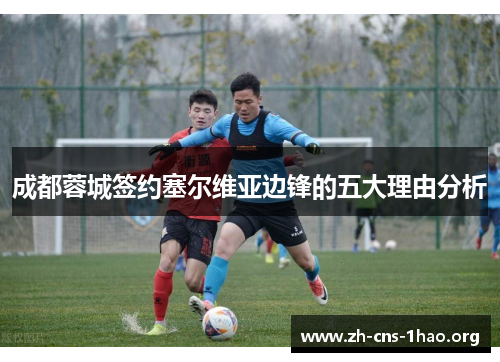 成都蓉城签约塞尔维亚边锋的五大理由分析