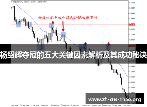杨绍辉夺冠的五大关键因素解析及其成功秘诀